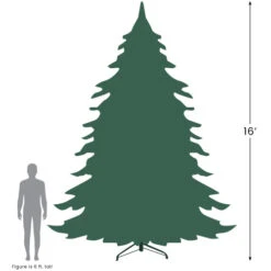 16' Pre-Lit Pendleton Spruce Slim Artificial Christmas Tree, Clear Lights 16 16' Pre-Lit Pendleton Spruce Slim Artificial Christmas Tree, Clear Lights -Northlight Christmas 1627 94004.1680285393