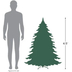 Northlight Real Touch™? Potted Sierra Norway Spruce Slim Artificial Christmas Tree - 4.5' - Clear Lights -Northlight Christmas 4.527 10969.1684933384