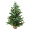 Northlight Mixed Cashmere Berry Pine Medium Artificial Christmas Tree - 24" - Unlit 1 Northlight Mixed Cashmere Berry Pine Medium Artificial Christmas Tree - 24" - Unlit -Northlight Christmas b1jjxyjwpncjdqkv8uqayyqeifwljqbh 28317.1587644072