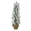 Northlight 2ft Potted Flocked Mini Pine Slim Christmas Tree With Berries - Unlit -Northlight Christmas iufjbtciuvh8sdlatpquizke0rqpf1o2 08148.1588357296