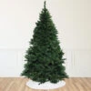 Northlight 12' Full Buffalo Fir Artificial Christmas Tree - Unlit