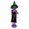Witch Jack-O-Lantern Halloween Nutcracker With Broom - 14" - Black And Green -Northlight Christmas northlight 97162updated 10782.1665610739