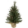 Northlight 18" Warsaw Twig Artificial Christmas Tree In Burlap Base - Unlit -Northlight Christmas northlight b03906 1 69657.1669452426