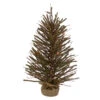 2' Pre-Lit Medium Potted Warsaw Twig Artificial Christmas Tree - Clear Lights