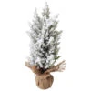 Northlight Heavily Flocked Pine Christmas Tree In Burlap Base - 12.5" 1 Northlight Heavily Flocked Pine Christmas Tree In Burlap Base - 12.5" -Northlight Christmas northlight hn92688 1 pre20list 62834.1636200429