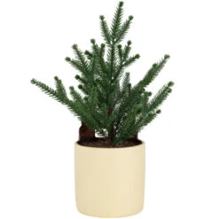Mini Artificial Christmas Tree In Reindeer - 14.25" - Unlit -Northlight Christmas northlight hn95105 05 35222.1702402355