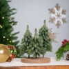 Northlight Icy Downswept Pine Trio Of Trees Christmas Decoration - 8" - Unlit -Northlight Christmas northlight hn96809 styled 01 11587.1727317577