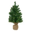 Northlight Pre-Lit Two-Tone Green Pine Artificial Christmas Tree In Burlap - 18" - Clear LED Lights -Northlight Christmas northlight j00065 22698.1644973046