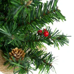 Northlight Potted Red Berries And Pine Cones Medium Artificial Christmas Tree – 16" - Unlit 8 Northlight Potted Red Berries And Pine Cones Medium Artificial Christmas Tree – 16" - Unlit -Northlight Christmas northlight kji91320 3 47985.1600824029