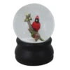 Northlight Cardinal On Branch Musical Christmas Snow Globe - 5.75" - Red -Northlight Christmas northlight pm85865 1 58908.1588415738
