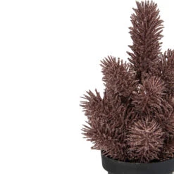 Northlight Potted Glittered Artificial Pine Christmas Tree - 8.5" - Rose Gold - Unlit -Northlight Christmas northlight sf89182 2 sample 00899.1601169975