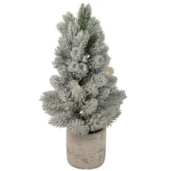 Northlight 16" LED Lighted Mini Frosted Pine Christmas Tree In Cement Base