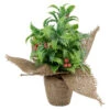 Iced Artificial Christmas Holly Berry Plant In Burlap Base - 8" 1 Iced Artificial Christmas Holly Berry Plant In Burlap Base - 8" -Northlight Christmas northlight sf93425 1 89080.1665611040