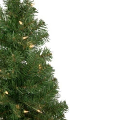 Northlight 3' Pre-Lit Oakridge Noble Fir Artificial Christmas Tree, Clear Lights -Northlight Christmas northlight sm92895 3 88055.1653153124