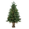 Northlight Real Touch™? Potted Sierra Norway Spruce Slim Artificial Christmas Tree - 4.5' - Clear Lights -Northlight Christmas northlight sp15038 93987.1665610747