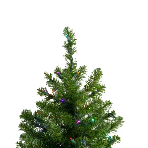 Northlight Pre-Lit Canadian Pine Artificial Christmas Tree - 18" - LED Multicolor Lights 5 Northlight Pre-Lit Canadian Pine Artificial Christmas Tree - 18" - LED Multicolor Lights - Image 3