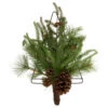 Northlight 21" Pine Christmas Tree Wall Hanging Decoration With Pinecones -Northlight Christmas northlight vm92770 updated 22783.1659123959