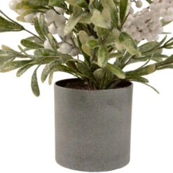 Northlight 2' Potted White Berry And Frosted Pine Christmas Tree, Unlit -Northlight Christmas northlight vm92773 3 44407.1660325555