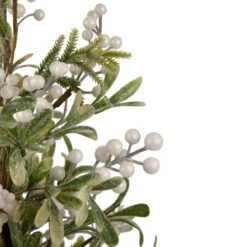 Northlight 2' Potted White Berry And Frosted Pine Christmas Tree, Unlit -Northlight Christmas northlight vm92773 4 71762.1660325556