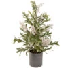 Northlight 2' Potted White Berry And Frosted Pine Christmas Tree, Unlit 2 Northlight 2' Potted White Berry And Frosted Pine Christmas Tree, Unlit -Northlight Christmas northlight vm92773 70941.1660325555