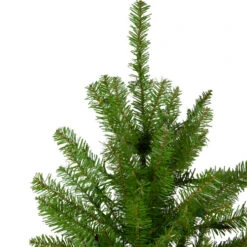 Northlight Full Northern Pine Artificial Christmas Tree - 16' - Unlit 10 Northlight Full Northern Pine Artificial Christmas Tree - 16' - Unlit -Northlight Christmas northlight z84652 2 70189.1682770831