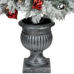 Northlight Pre-Lit Potted Snowy Bristle Pine Artificial Christmas Tree Clear Lights - 5' 10 Northlight Pre-Lit Potted Snowy Bristle Pine Artificial Christmas Tree Clear Lights - 5' -Northlight Christmas northlight z95346 02 84413.1694793082