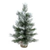 Northlight 18" Flocked Pine Medium Artificial Christmas Tree In Burlap Base - Unlit -Northlight Christmas pnmhchqk2ylta8a0wxztr7kbzjucdtoj 03878.1665174049